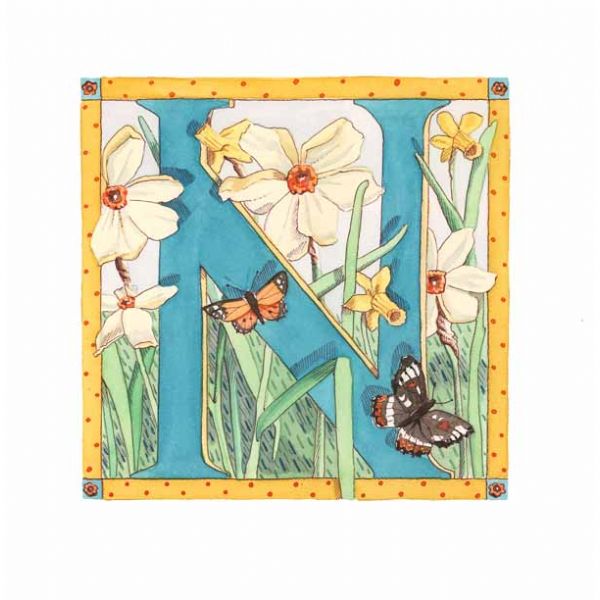 N is for Narcissus